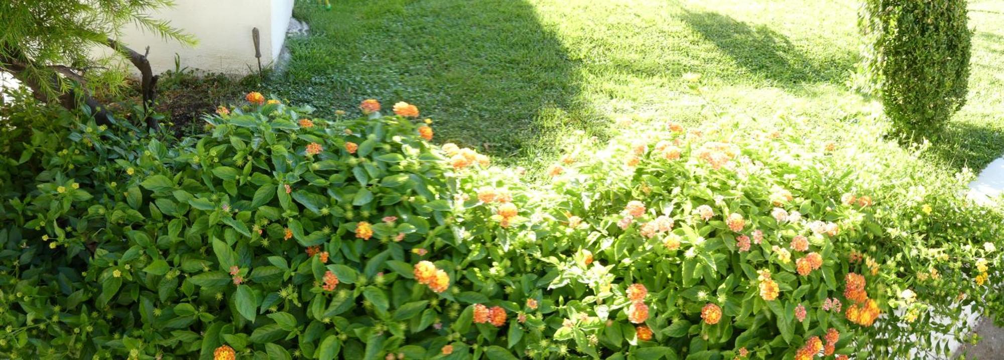 B&B Oliena Dış mekan fotoğraf