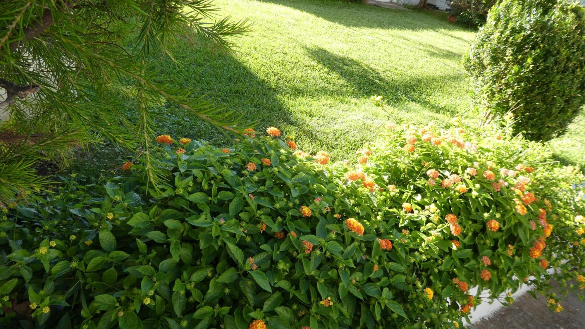 B&B Oliena Dış mekan fotoğraf