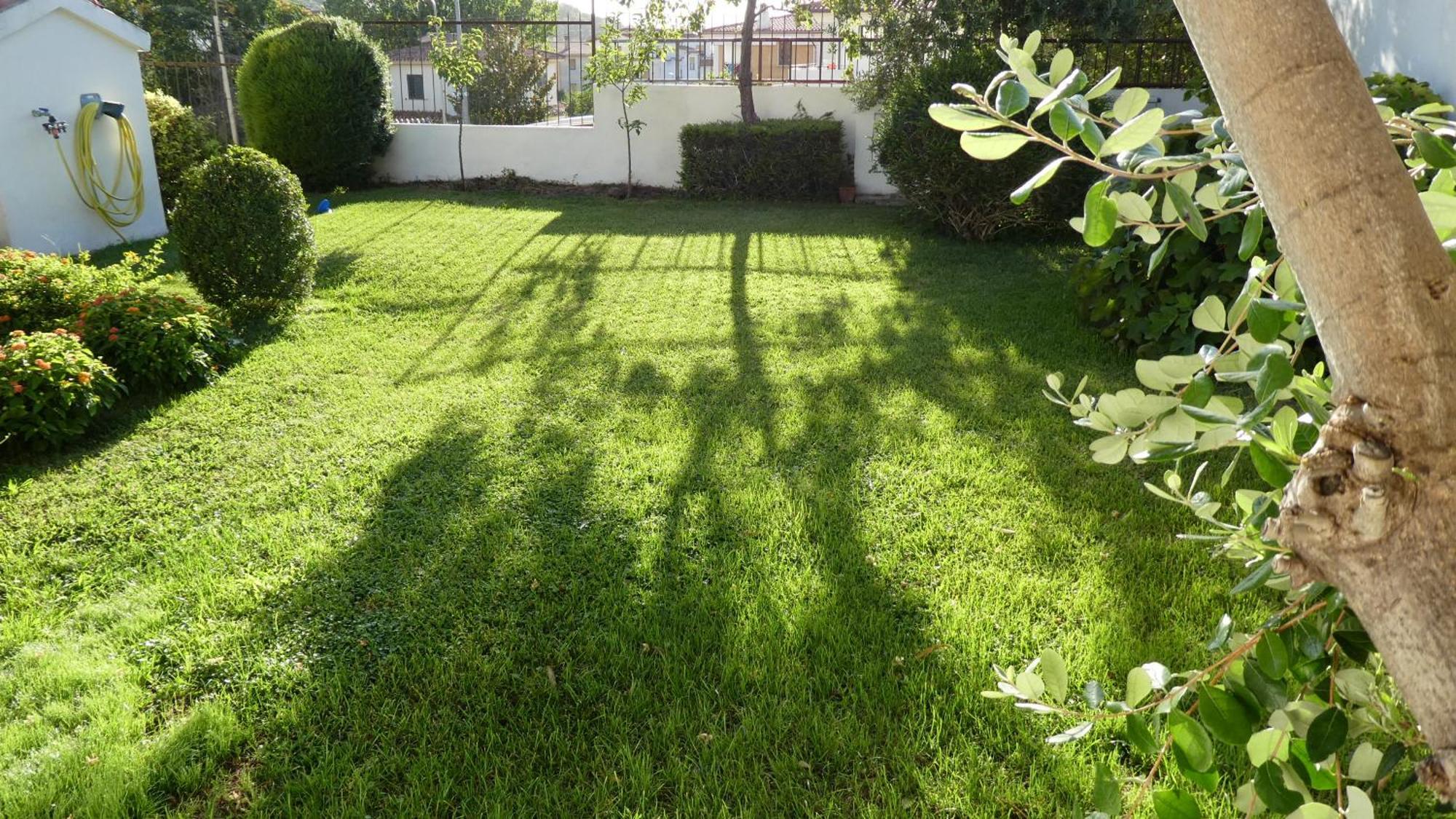 B&B Oliena Dış mekan fotoğraf