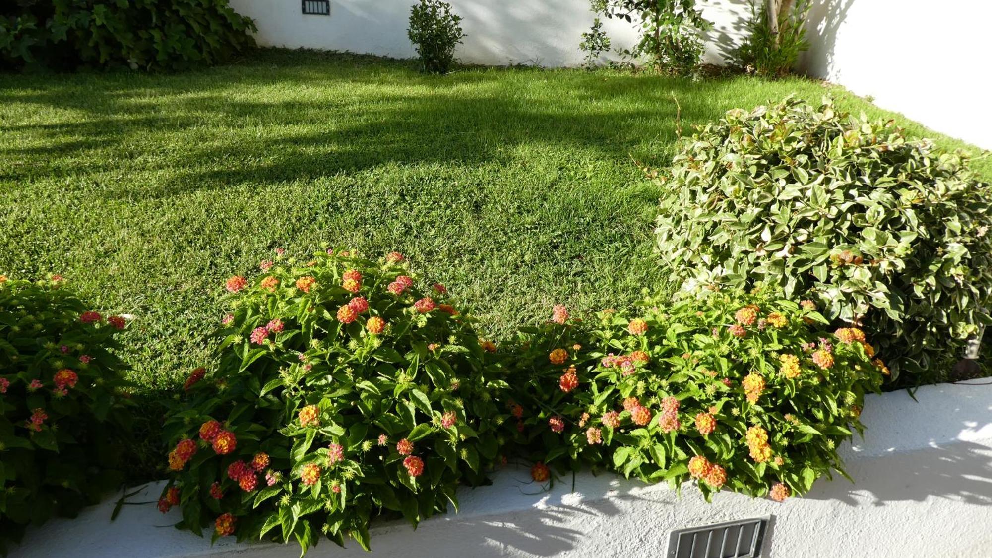 B&B Oliena Dış mekan fotoğraf