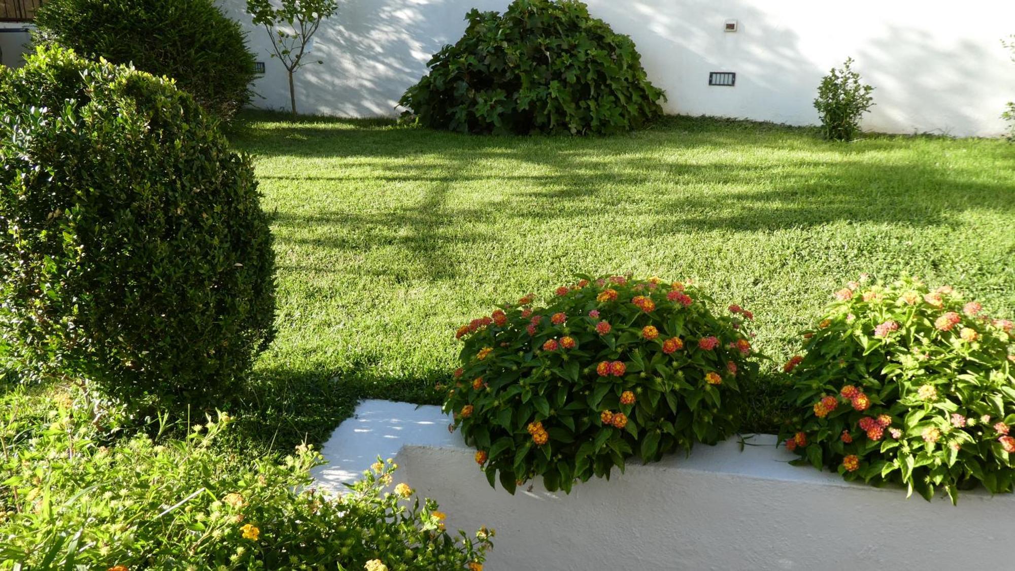 B&B Oliena Dış mekan fotoğraf