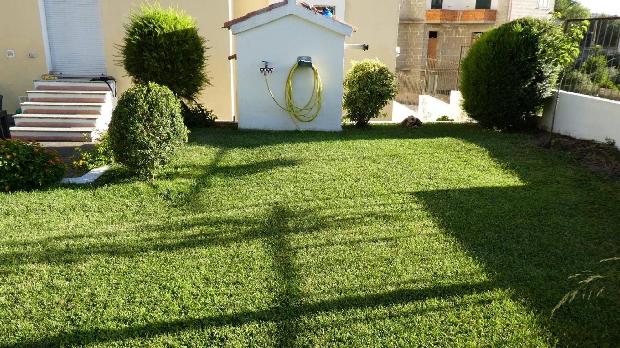 B&B Oliena Dış mekan fotoğraf