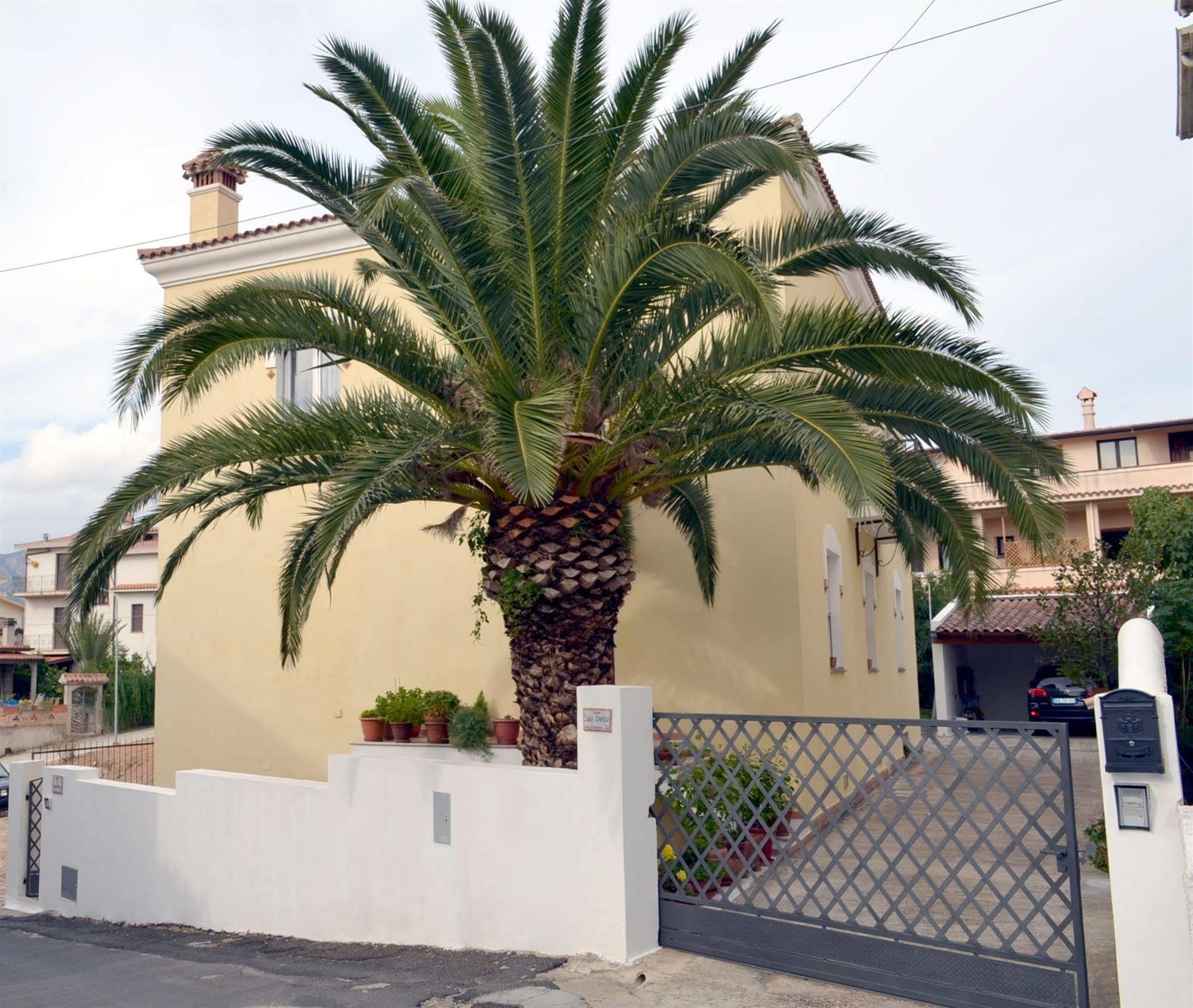 B&B Oliena Dış mekan fotoğraf